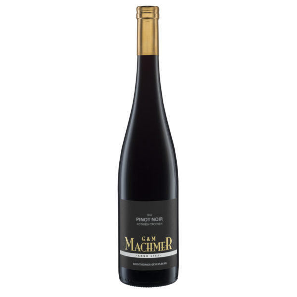 Weingut Machmer BIO Pinot Noir Rotwein trocken Barrique
