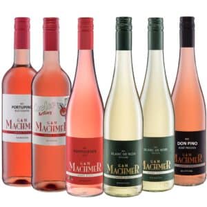 BIO Weingut Machmer Probier@Home Rose