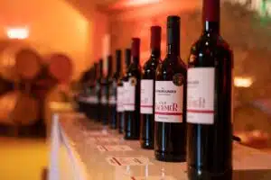 BIO Weingut Machmer Wine-Opening-2025