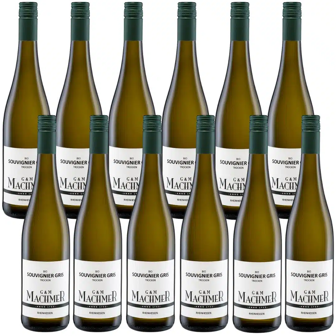 Souvignier Gris 12er Paket