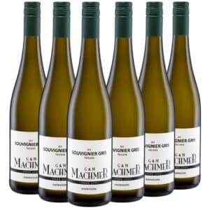 Souvignier Gris 6er Paket