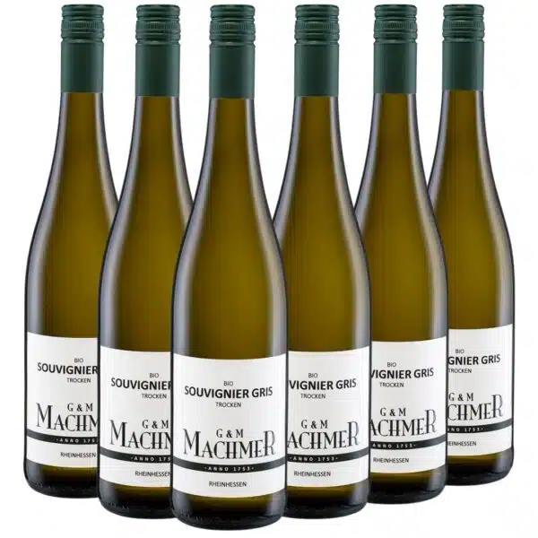 Souvignier Gris 6er Paket