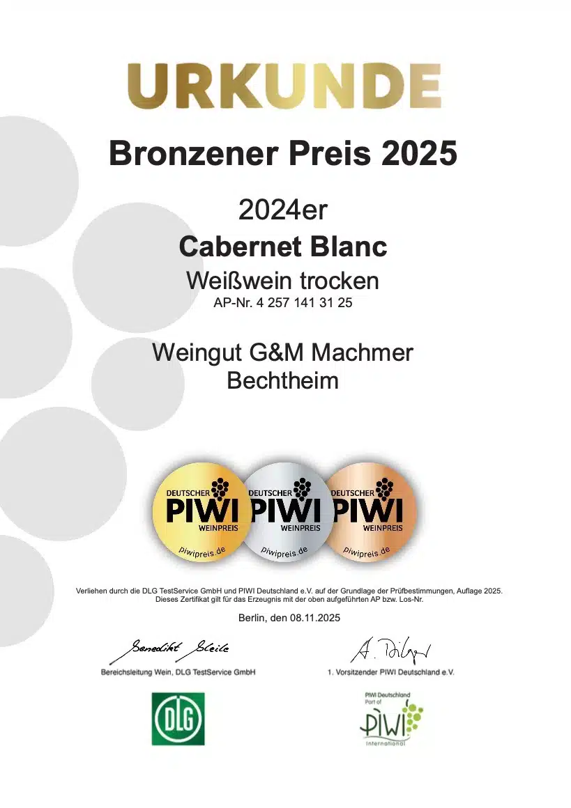 Cabernet Blanc trocken 2023er - Edition G&M – Bild 2